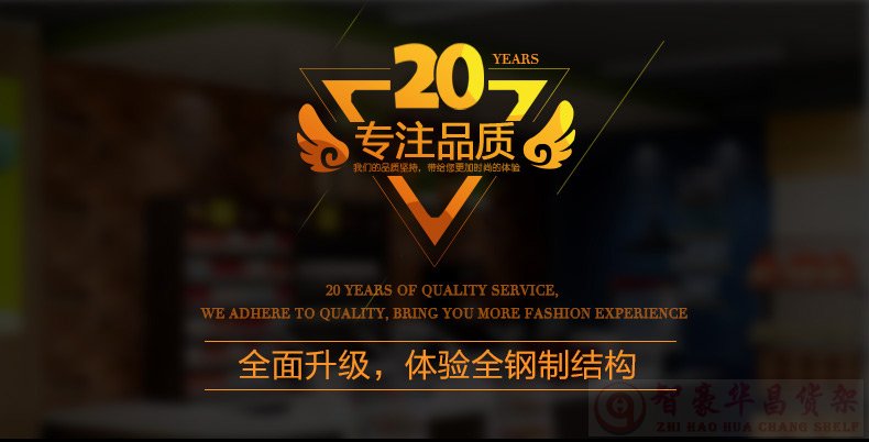 20年专注 20年专注
